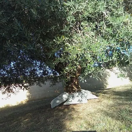 Residenza Nella Campagna Di Capitale. Roma